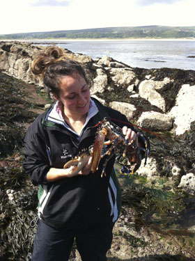 Charlotte Davies lobsters
